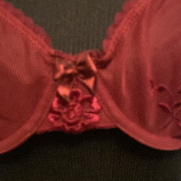 Apt. 9 Sexy Wine Color See Thru Lace Bra Sz 36C NWOT - Picture 2 of 6